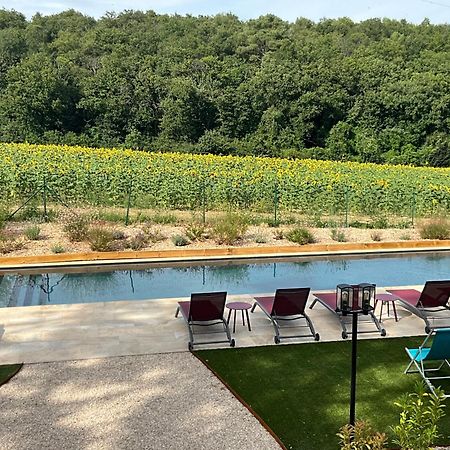 Sans Souci Bed And Breakfast Luxe Heated Pool And Restaurant Luzillé Dış mekan fotoğraf
