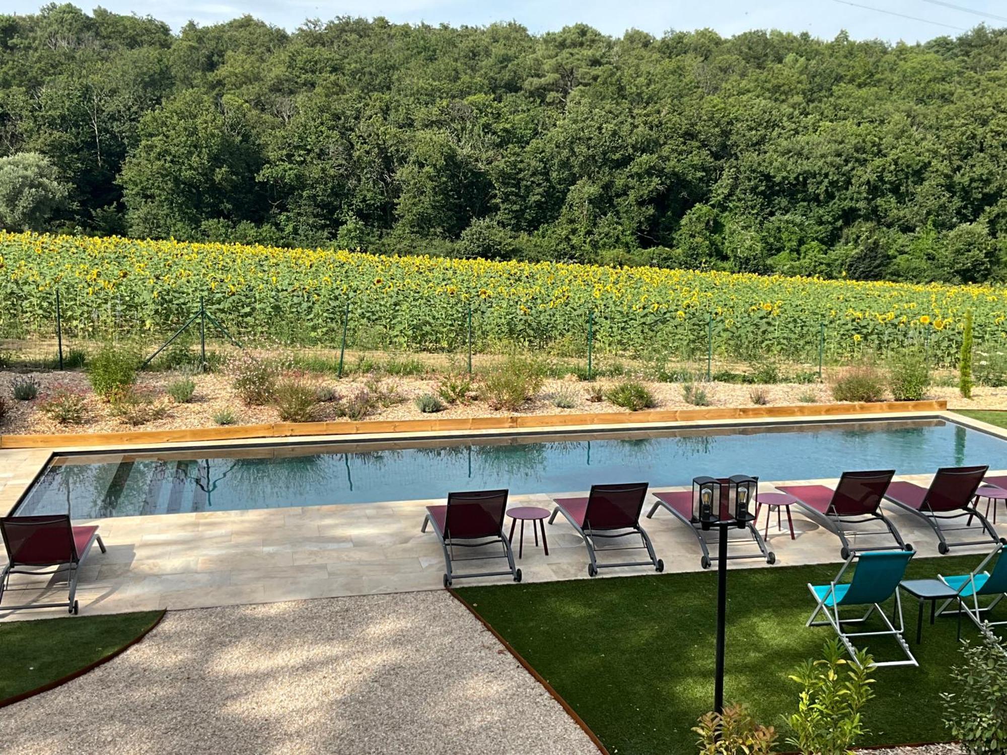 Sans Souci Bed And Breakfast Luxe Heated Pool And Restaurant Luzillé Dış mekan fotoğraf